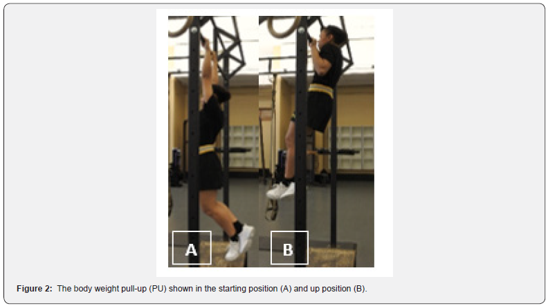 Click here to view Large Figure 2