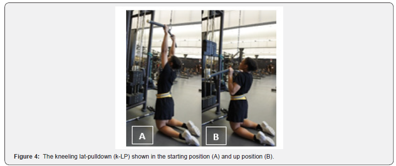 Click here to view Large Figure 4