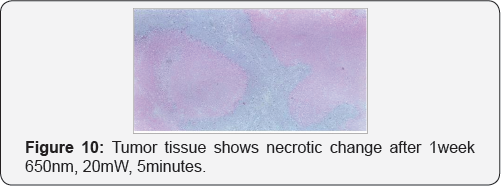 Click here to view Large Figure 10