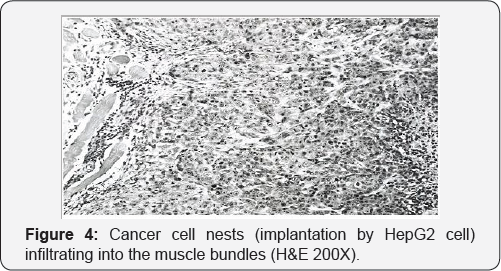 Click here to view Large Figure 4