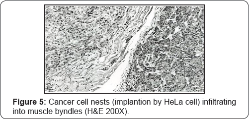 Click here to view Large Figure 5