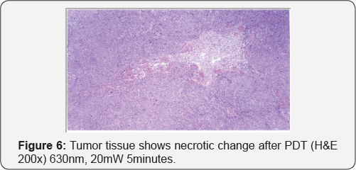 Click here to view Large Figure 6