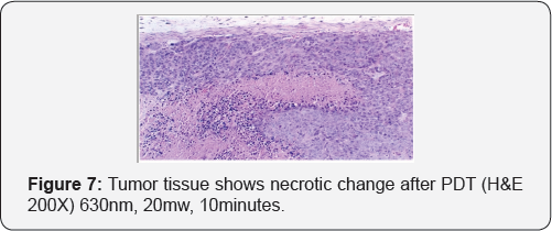 Click here to view Large Figure 7