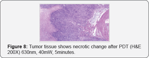 Click here to view Large Figure 8