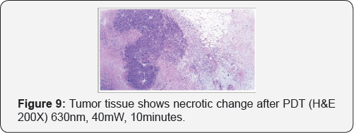 Click here to view Large Figure 9