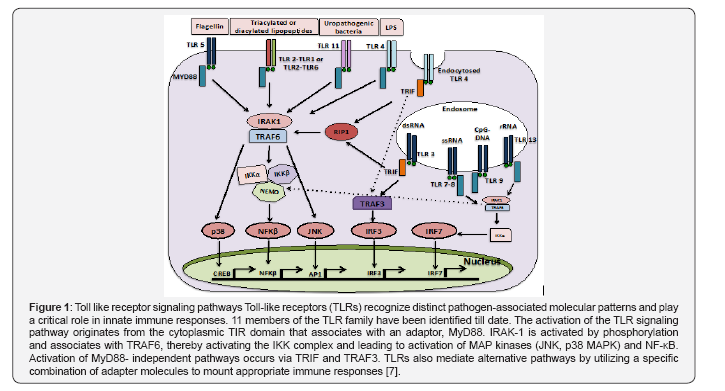Click here to view Large Figure 1