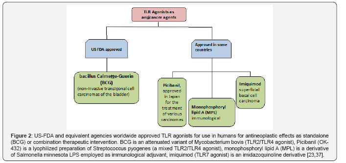 Click here to view Large Figure 2