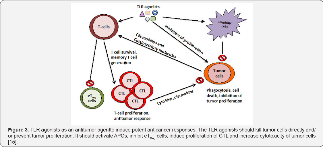 Click here to view Large Figure 3