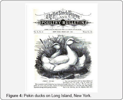 Click here to view Large Figure 4