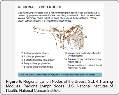 Click here to view Large Figure 6