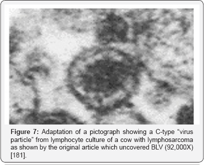 Click here to view Large Figure 7