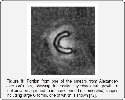 Click here to view Large Figure 8