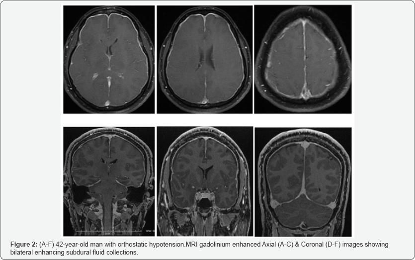 Click here to view Large Figure 2