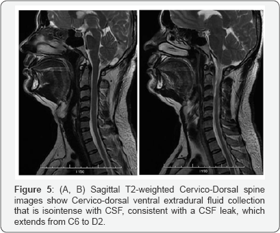Click here to view Large Figure 5