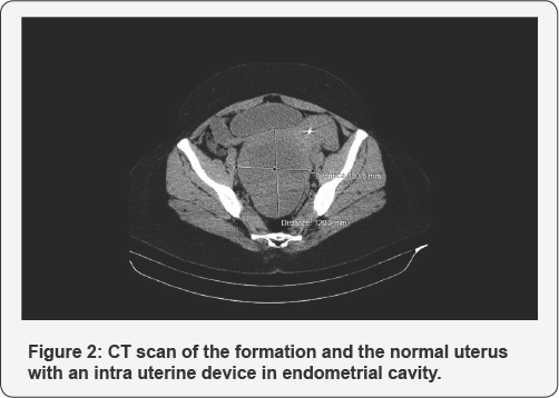 Click here to view Large Figure 2