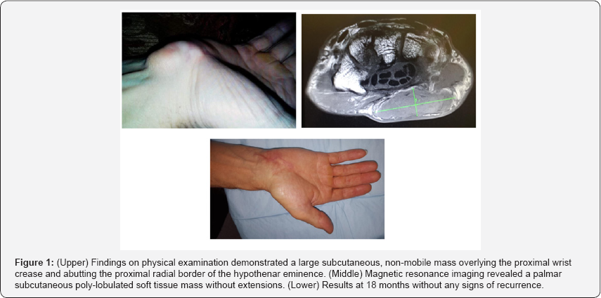 Click here to view Large Figure 1