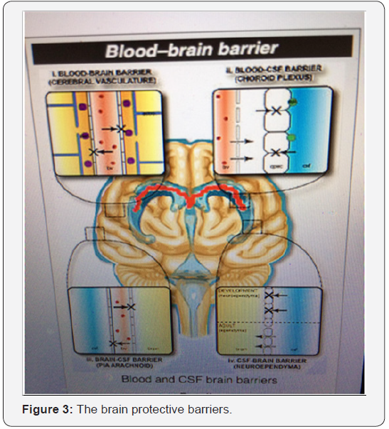 Click here to view Large Figure 3