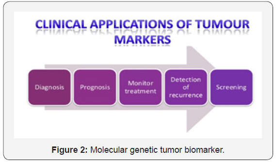 Click here to view Large Figure 2