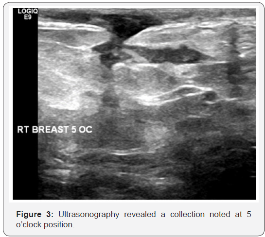 Click here to view Large Figure 3