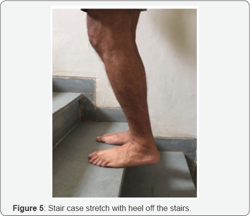 Click here to view Large Figure 5