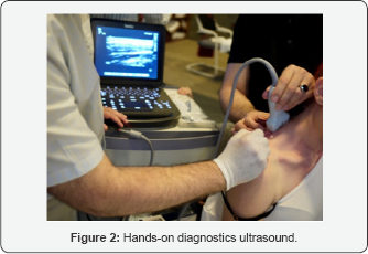 Click here to view Large Figure 2