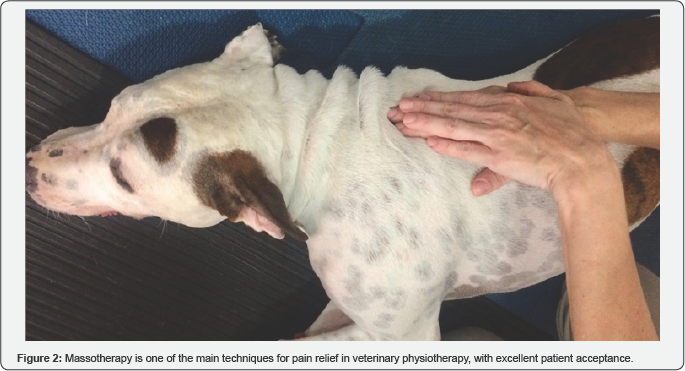 Click here to view Large Figure 2