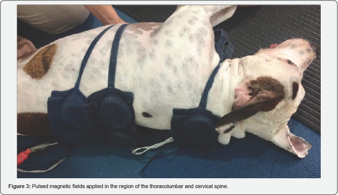 Click here to view Large Figure 3