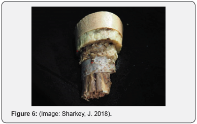 Click here to view Large Figure 6