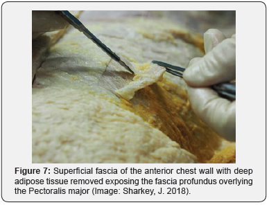 Click here to view Large Figure 7