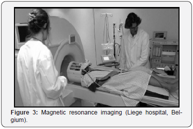 Click here to view Large Figure 3