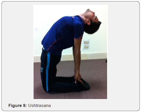 Click here to view Large Figure 9