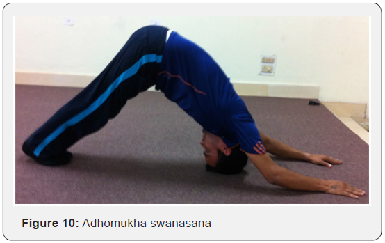 Click here to view Large Figure 10