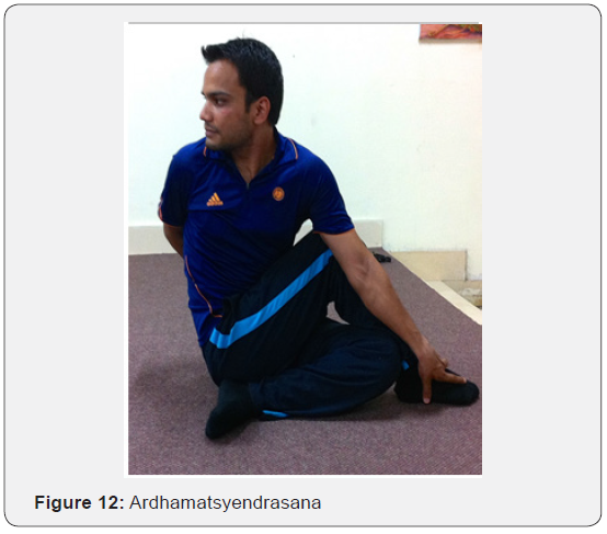 Click here to view Large Figure 12