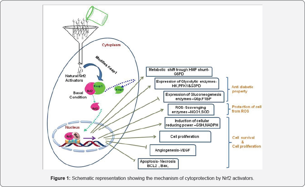 Click here to view Large Figure 1