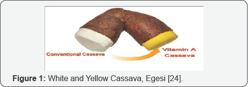 Click here to view Large Figure 1