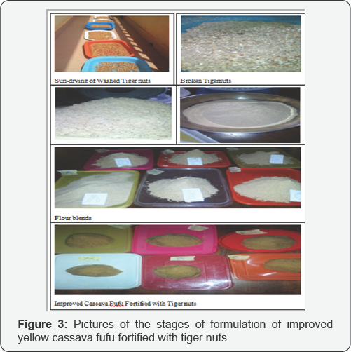 Click here to view Large Figure 3