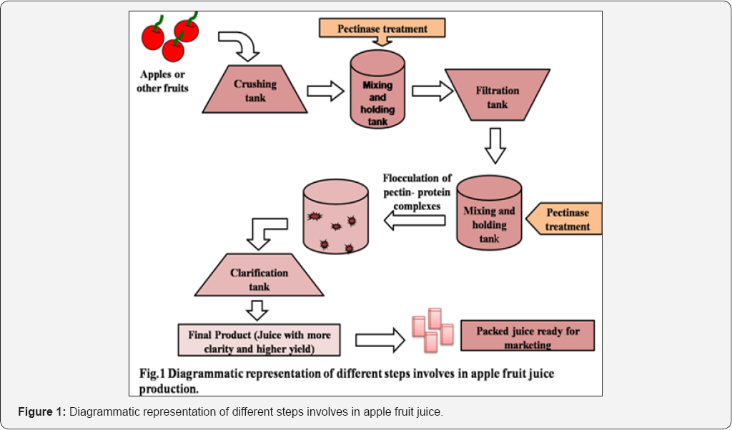 Click here to view Large Figure 1
