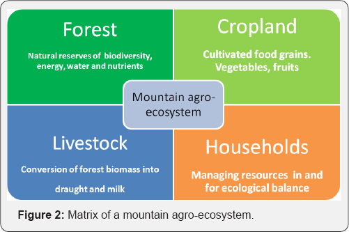 Click here to view Large Figure 2