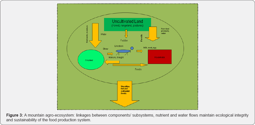 Click here to view Large Figure 3