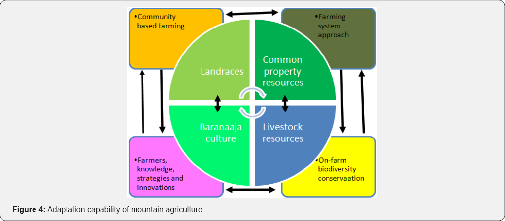 Click here to view Large Figure 4