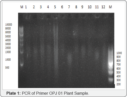 Click here to view Large Table 1