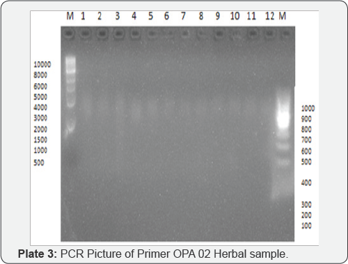 Click here to view Large Table 3