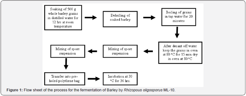 Click here to view Large Figure 1