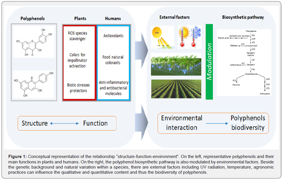 Click here to view Large Figure 1