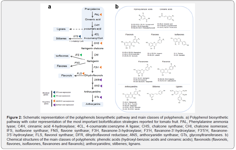 Click here to view Large Figure 2