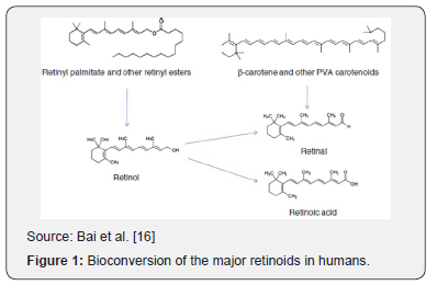 Click here to view Large Image 1