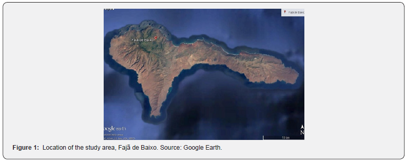 Click here to view Large Figure 1