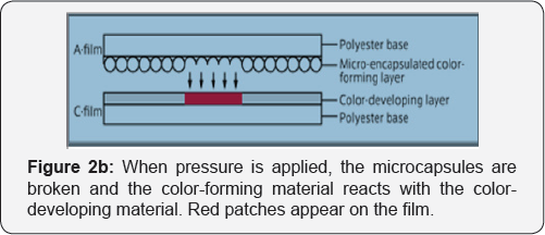 Click here to view Large Figure 2