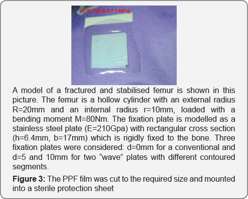 Click here to view Large Figure 3