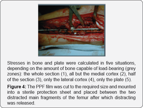 Click here to view Large Figure 4